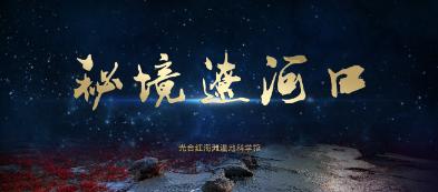 春雨直播app